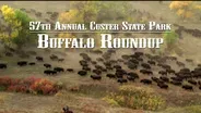 2022 South Dakota Governor's Buffalo Roundup