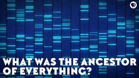Video thumbnail: Eons What Was the Ancestor of Everything?