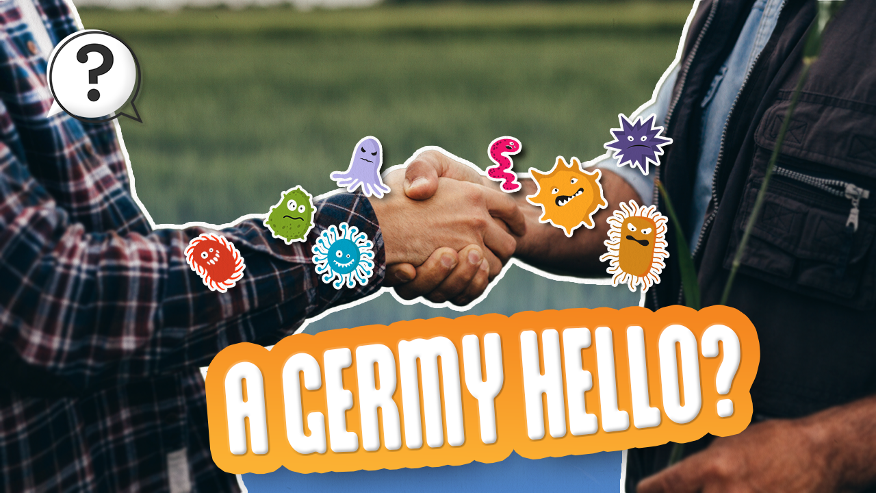 Why do you shake hands to make a deal? Asks Hollis of New Jersey.