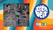 Teen Beat 2