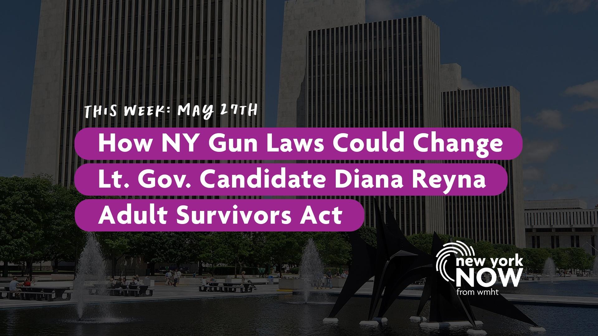 NY's Gun Laws, Lt. Gov. Candidate, the Adult Survivor's Act New York