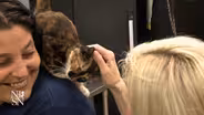 Newark animal shelter invites influencers to tell tales, spur adoptions