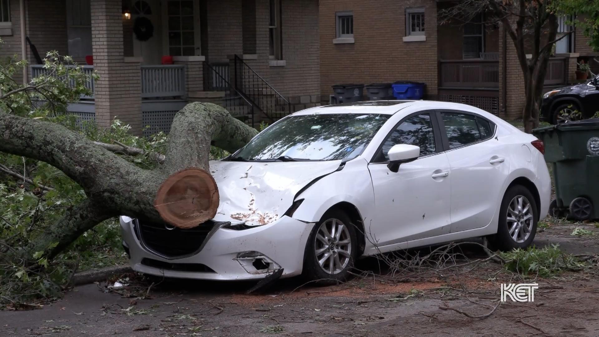 Impact of Hurricane Helene on Kentucky