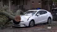 Impact of Hurricane Helene on Kentucky