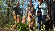 Snakeroot Ecotours