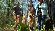 Snakeroot Ecotours