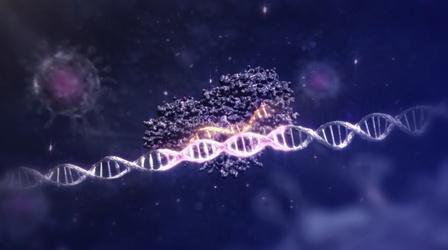 Video thumbnail: NOVA How does CRISPR work?