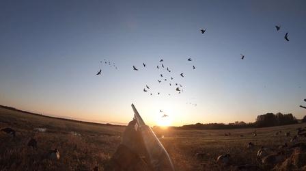 Video thumbnail: Prairie Sportsman Cast and Blast Up North