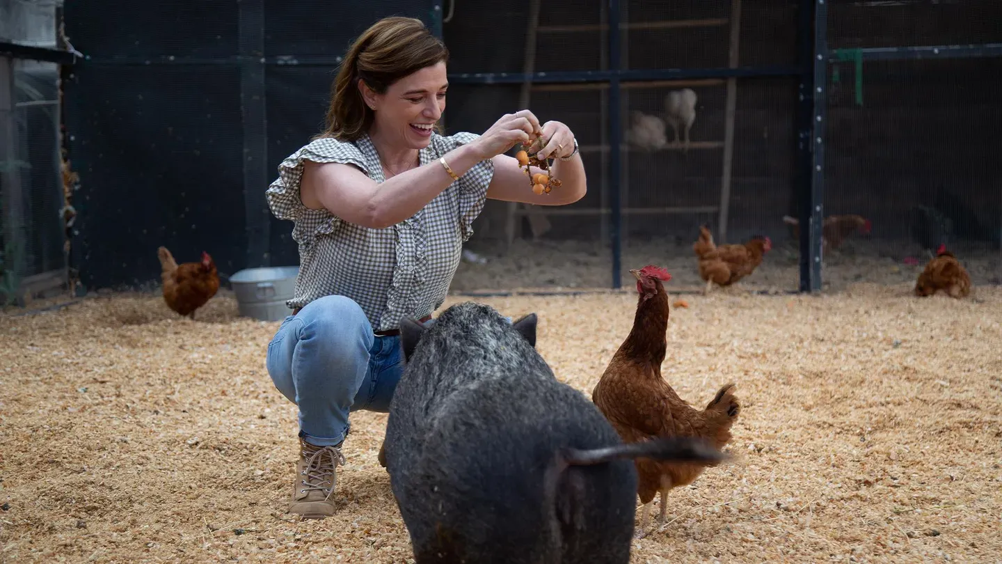 Pioneering From Farm to Table