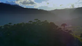 Fjordlands