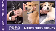 08/28/25 | Nuggest, Sesame Street, and Squishy | Mark's Furry Friends