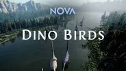 Trailer | NOVA #5203 | Dino Birds