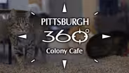 Colony Cafe
