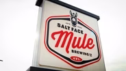 Salt Face Mule Brewing Company