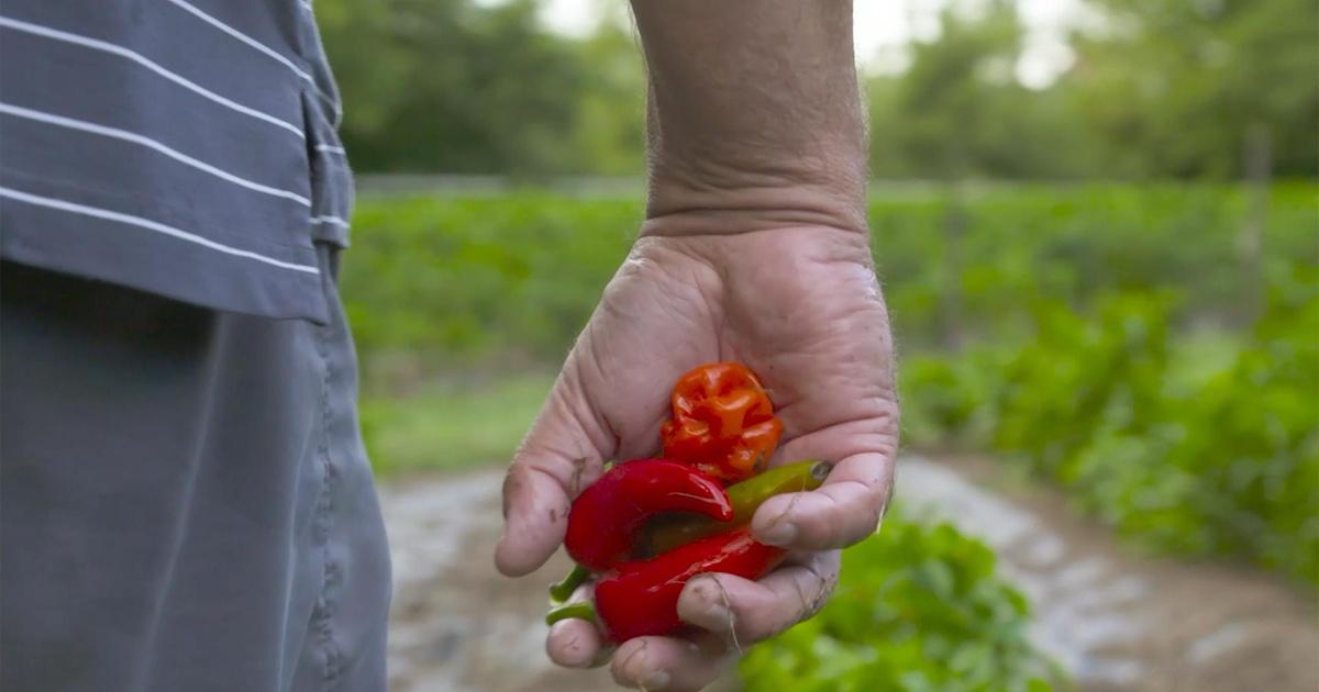 Wisconsin Foodie Savory Accents Season 11 Episode 7 PBS