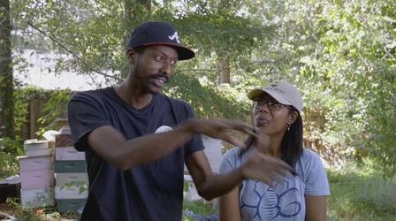 Video thumbnail: EcoSense for Living Planet of Pollinators