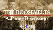 "The Roosevelts: An Intimate Portrait" Panel Discussion