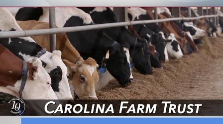 Video thumbnail: Carolina Impact Carolina Farm Trust