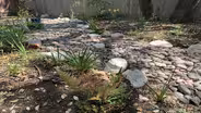 Dry Creek Bed Design