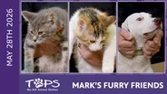 5/28/2026 | Charger, iPhone and Lil Yachty | Mark's Furry Friends