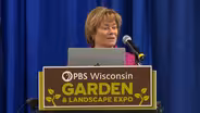 Simple Steps to a Beautiful Rose Garden