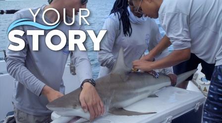 Video thumbnail: South Florida PBS Presents Minorities in Shark Sciences (MISS) is Making Waves
