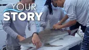 Minorities in Shark Sciences (MISS) is Making Waves