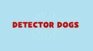 Education through Agriculture: AG Dogs