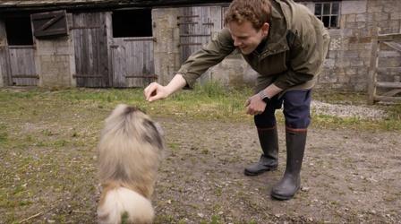 Video thumbnail: All Creatures Great and Small Callum Woodhouse: Dog Trainer Extraordinaire