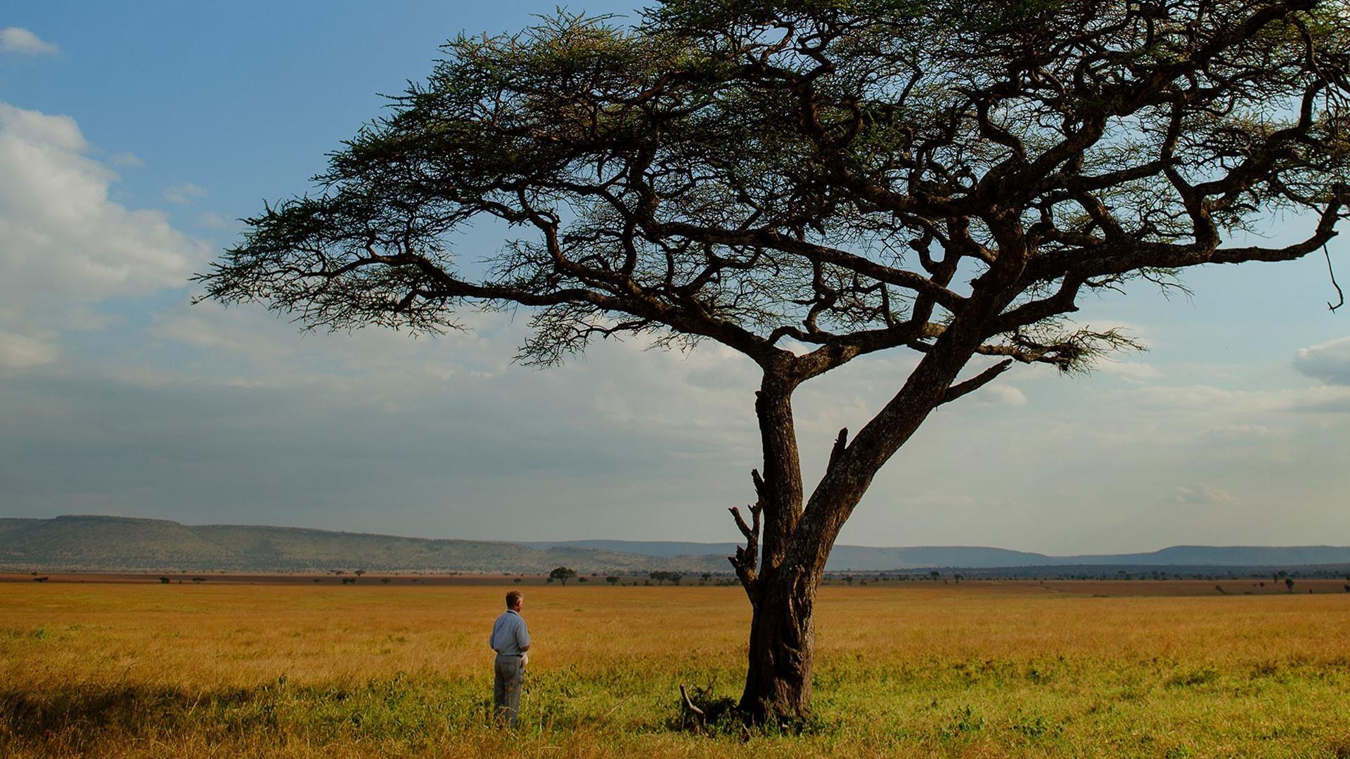 Nature: The Serengeti Rules