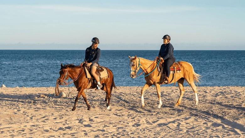 The Survivalists Image