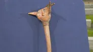 Appraisal: Penobscot Carved Club, ca. 1890