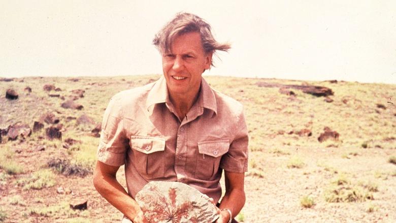 Life on Earth: Attenborough’s Greatest Adventure Image