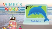 Dolphins
