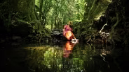 Te Puna Ora: The Source of Life