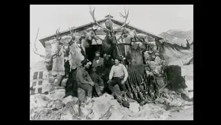 Part 1: The Depletion of Montana's Wildlife