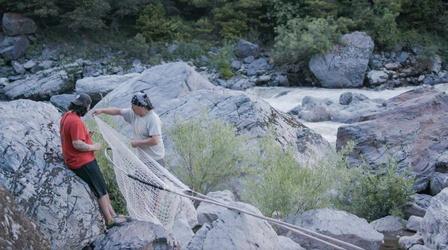 Video thumbnail: Tending Nature Restoring The River with the Yurok, Hupa and Karuk