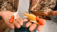 Grandpa's Decoys