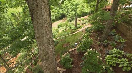 Video thumbnail: Volunteer Gardener Volunteer Gardener 2608