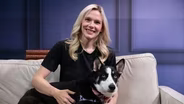 Arctic Rescue Helps Northern Breed Dogs Find Forever Homes