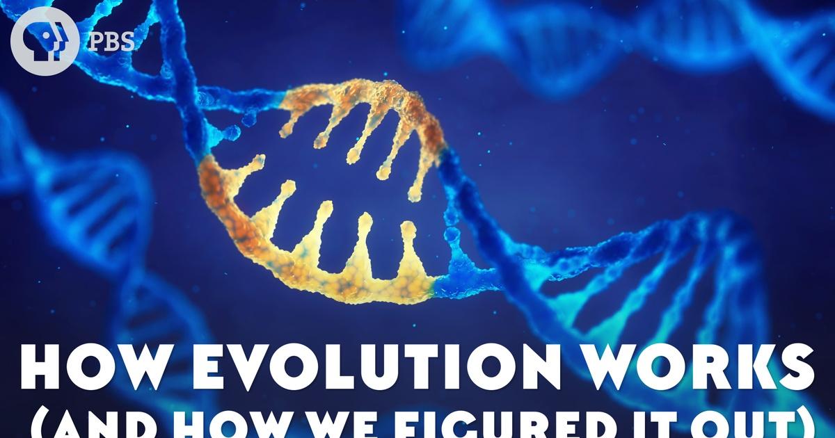 Eons How Evolution Works (And How We Figured It Out) Season 2