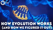 How Evolution Works (And How We Figured It Out)