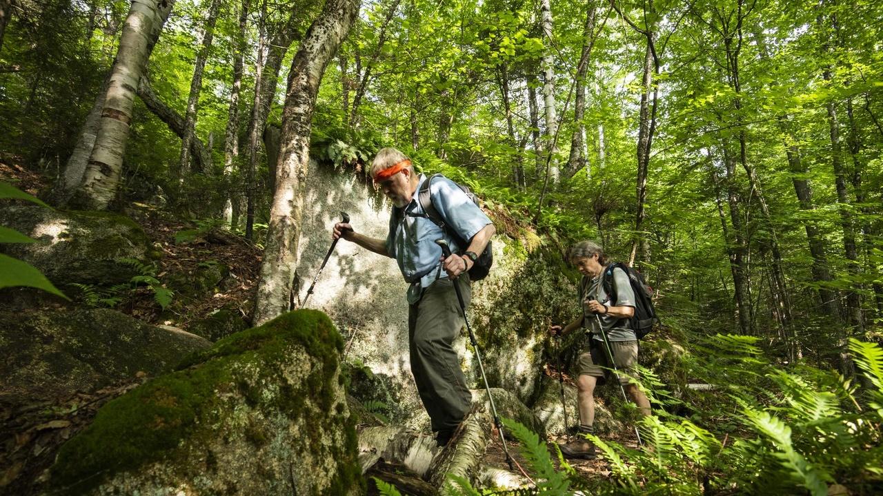 Windows to the Wild | White Mountain National Forest (Preview)