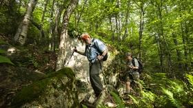 Video thumbnail: Windows to the Wild White Mountain National Forest (Preview)