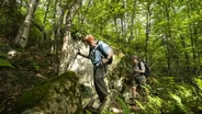 White Mountain National Forest (Preview)