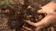 Volunteer Gardener 3408