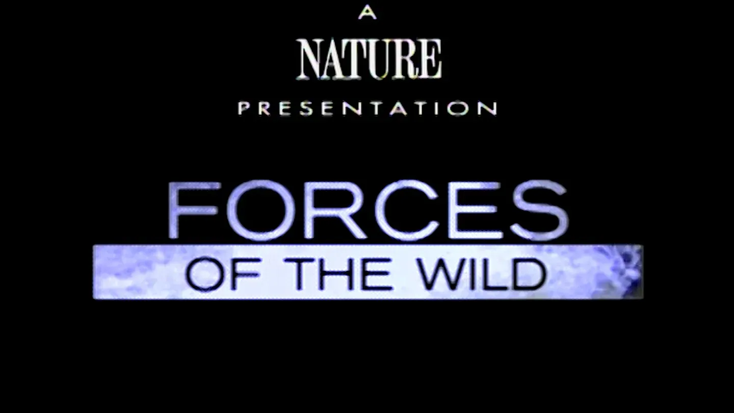 FORCES OF THE WILD - In the Beginning