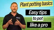 Plant Potting Tips