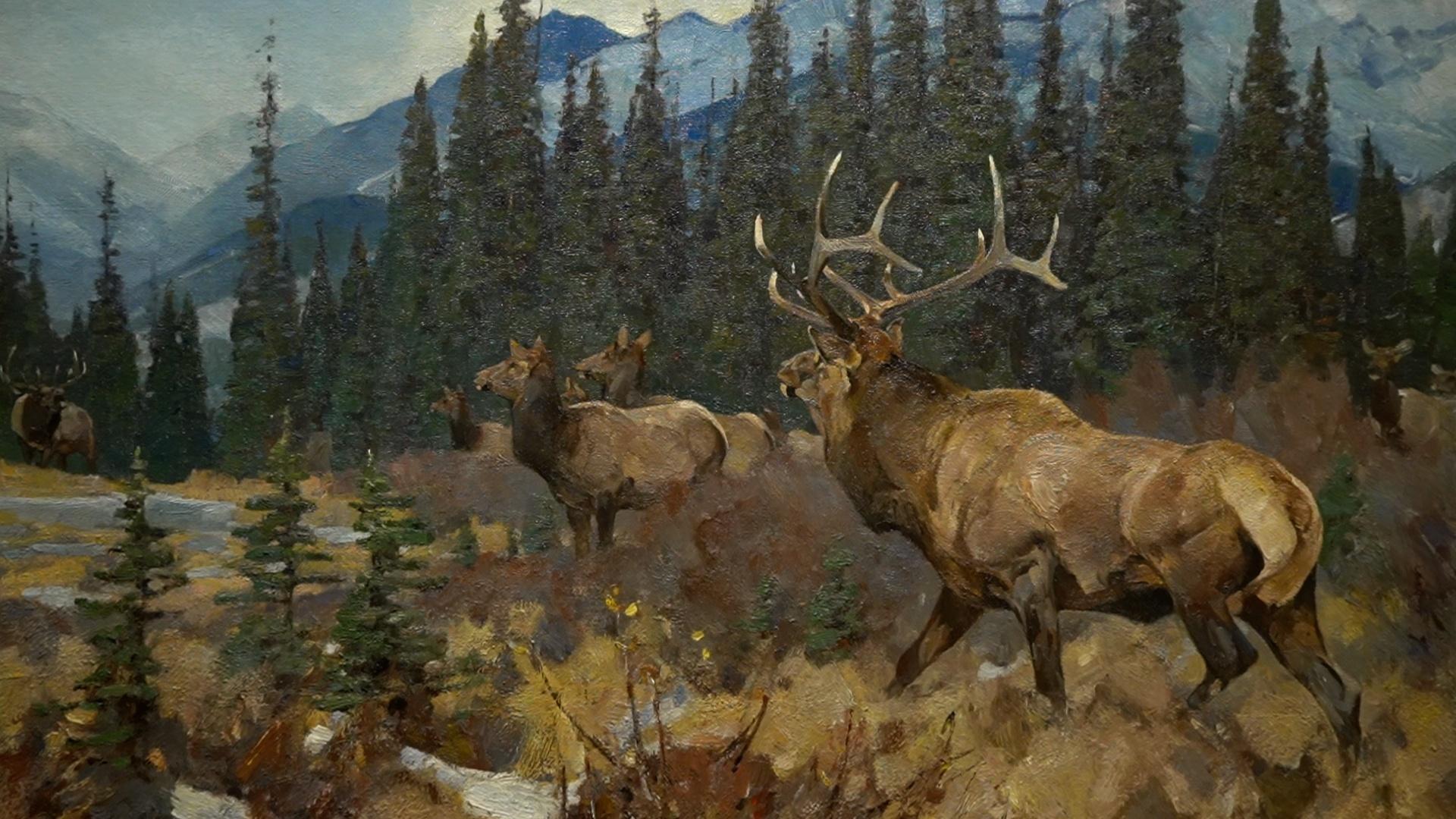 Survival of the Fittest: Envisioning Wildlife and Wilderness with the –  National Museum of Wildlife Art