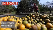 Southwest Florida In Focus | Episode 203 | Sep 26th, 2025